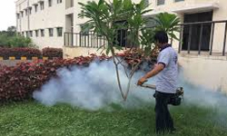 Fumigation